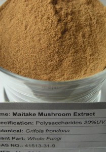 Maitake Mushroom Extract is a natural fat burner