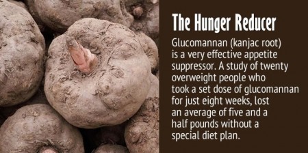glucomanan a natural fat burner @ getbetterbodysystem.com