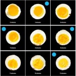 7 Graphs To Make You an Eggs-Pert In 5 Minutes