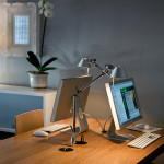 8 Tips to Set Up Your Home Office for Serious Productivity